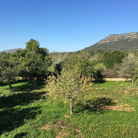 Son Sampol Villa Llucmajor  Dış mekan fotoğraf