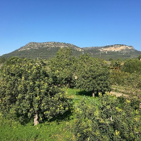Son Sampol Villa Llucmajor  Dış mekan fotoğraf