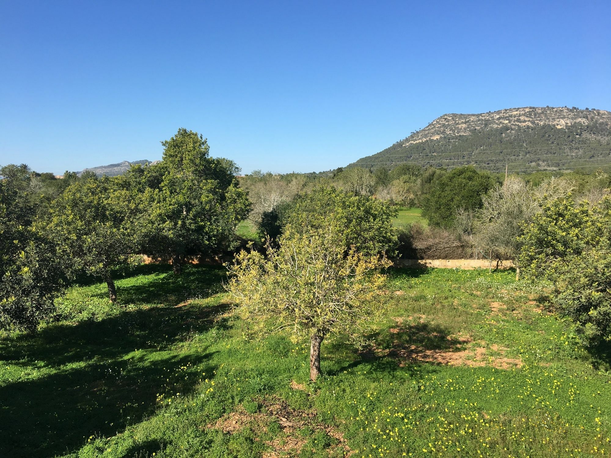 Son Sampol Villa Llucmajor  Dış mekan fotoğraf