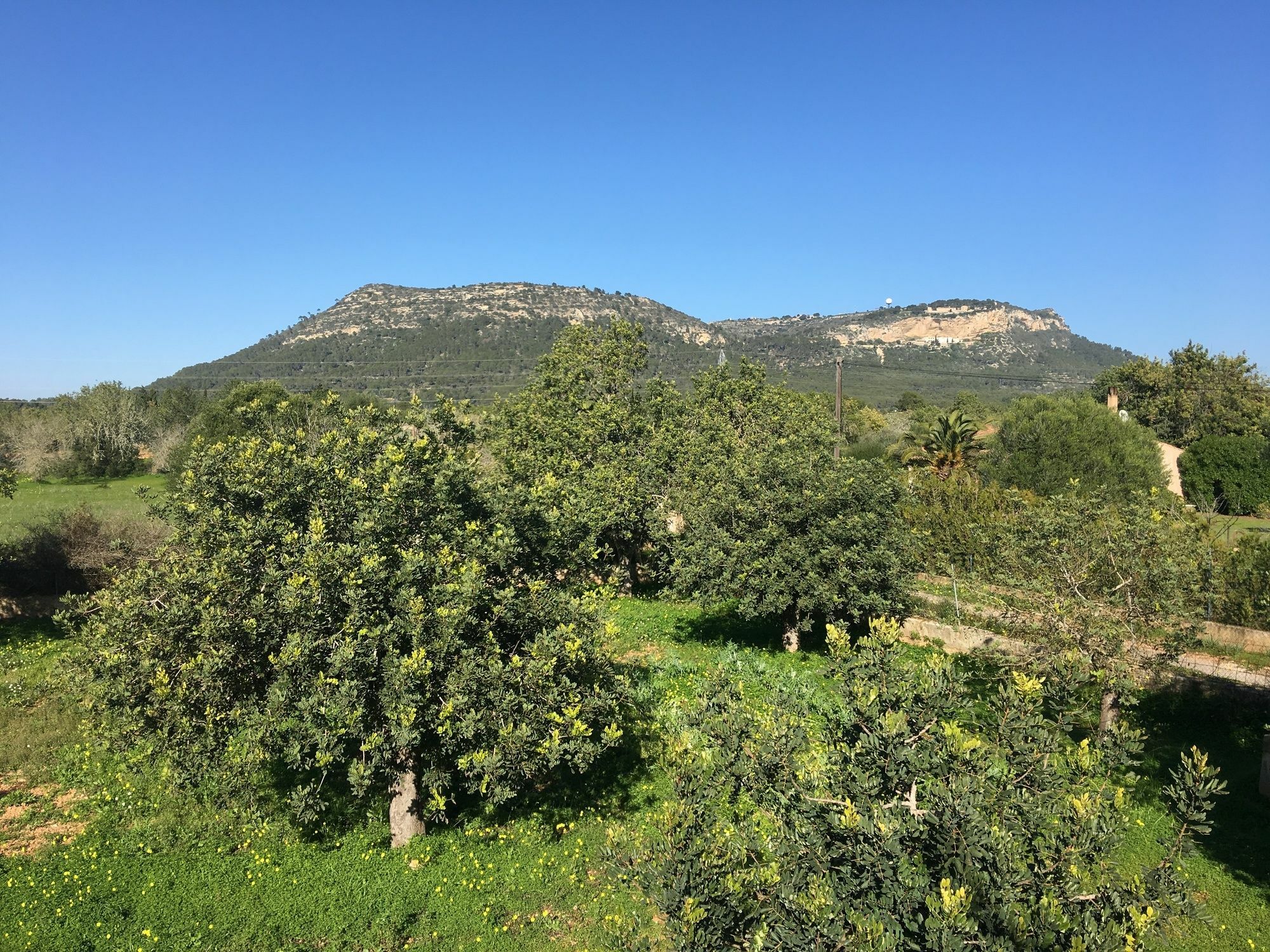 Son Sampol Villa Llucmajor  Dış mekan fotoğraf