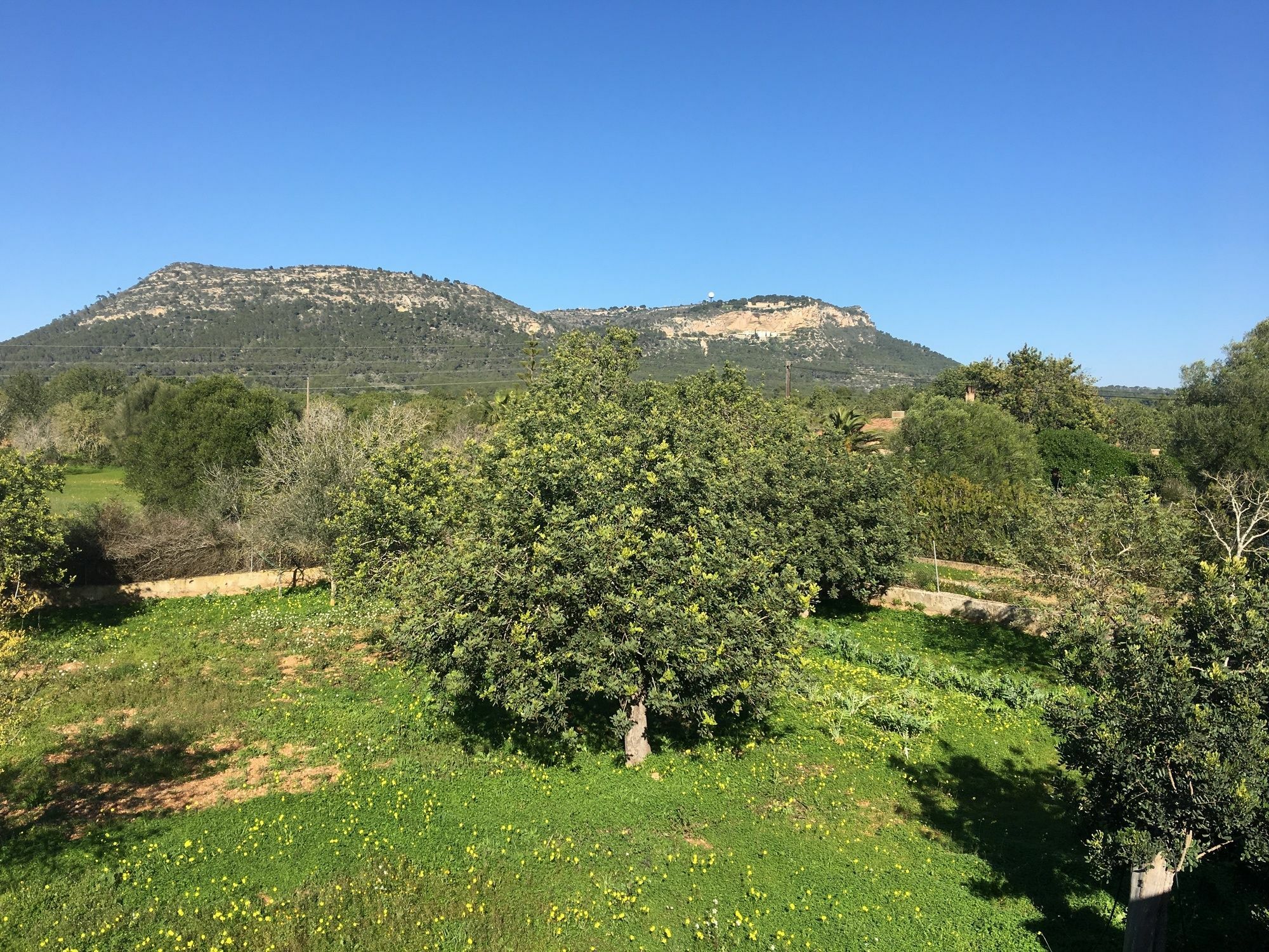 Son Sampol Villa Llucmajor  Dış mekan fotoğraf